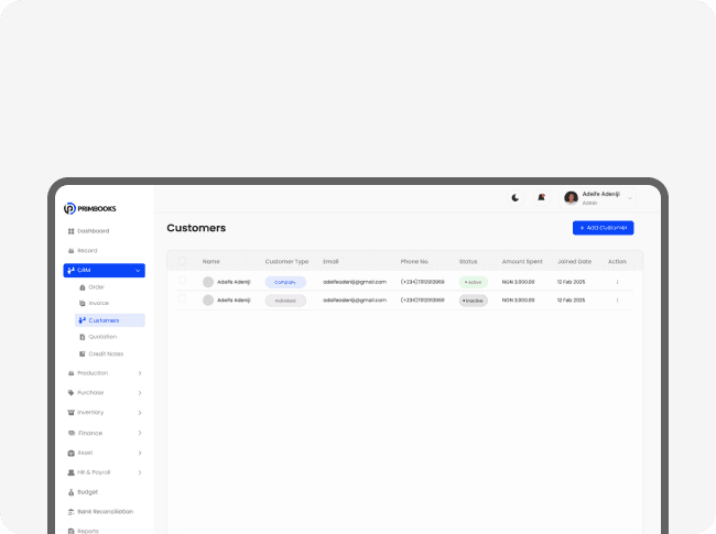 Customer ledger and balance preview table
